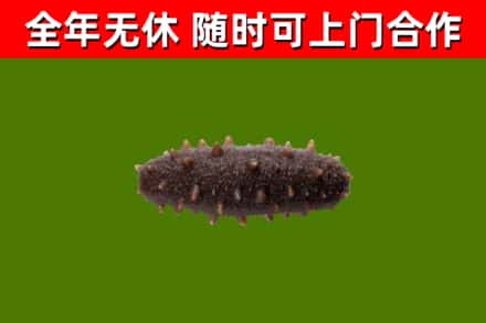 鸡西市烟酒回收干海参.jpg